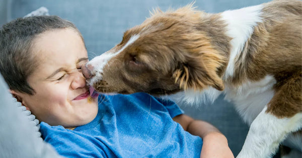 Is Your Dog a Face-Licker? Here’s Why They Do It!